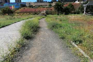 Abandono del Parque de las Mil Palmeras del Valle de Jinámar/TA.